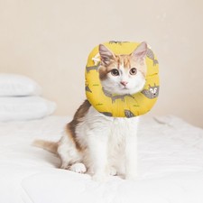  Collare Di Protezione Per