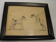 Stampa Fox Terrier con cornice Leon Danchin - Sporting Dog Art anni '30