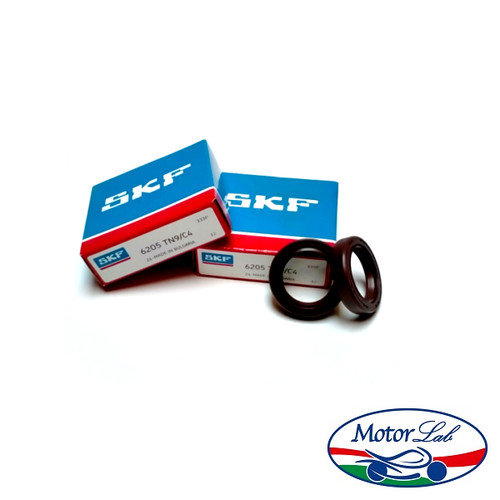 Cuscinetti albero skf paraoli - cuscinetti,