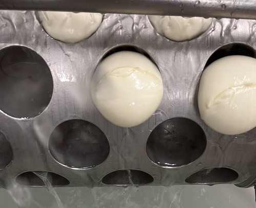 Mozzarella latte bufala - mozzarella, di