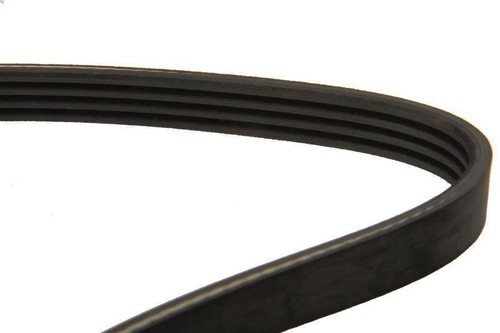 Cinghia poly dayco 4pk730 - poly-v,