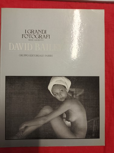 Grandi fotografi david - i,