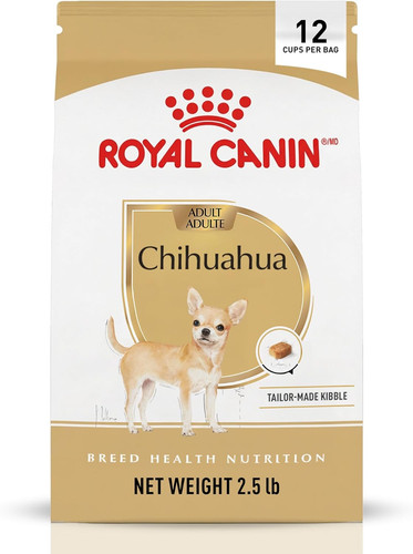 Chihuahua adult breed - adult, specific
