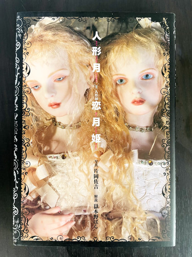 Libro fotografico koitsukihime - libro,