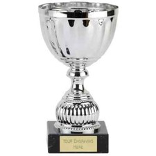 Tazza presentazione argento 4