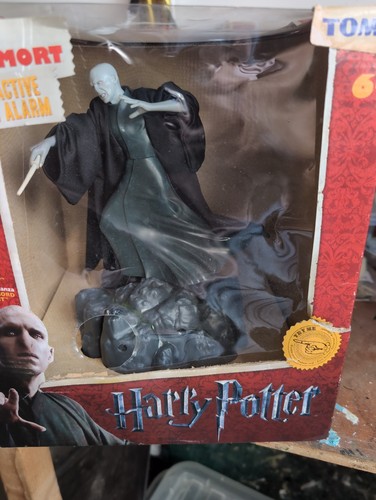 Harry potter lord voldemort - harry,
