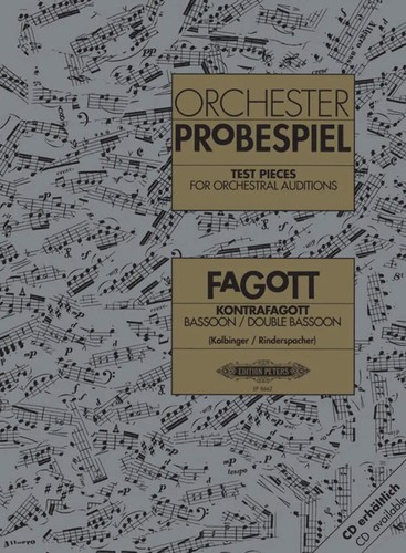 Orchester probespiel fagotto - orchester,