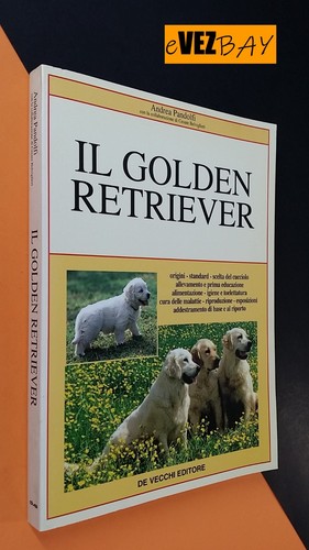 Golden retriever cani di - il,