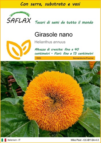 Saflax kit coltivazione - saflax,