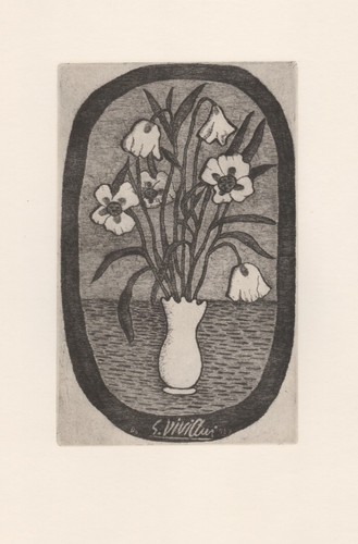 Giuseppe viviani fiori - giuseppe,