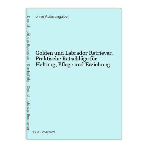 Golden und labrador retriever - golden,