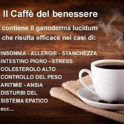 Caffè del benessere lingzhi - benessere, 3