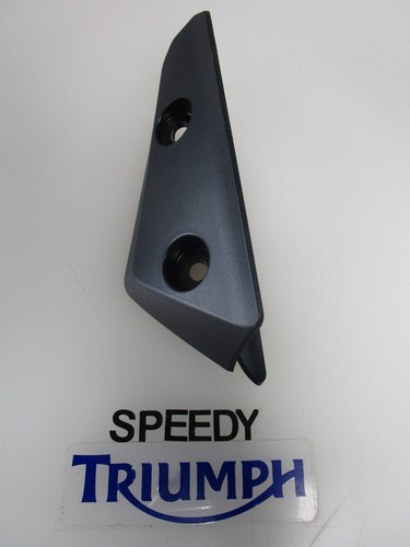 Triumph speed triple - speed, tiger