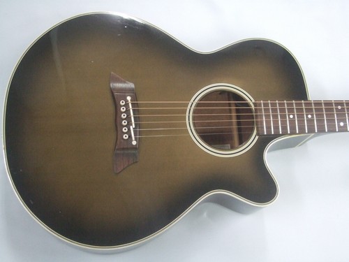 Chitarra elettrica acustica