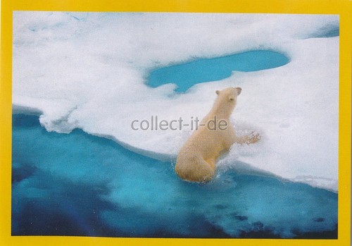 Panini national geographic - national,