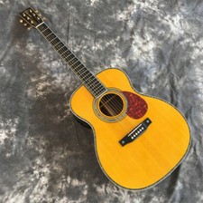 Chitarra Elettrica Acustica