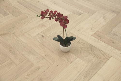 Campione parquet spina di - campione!,