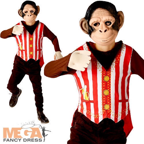 Costume animale curioso
