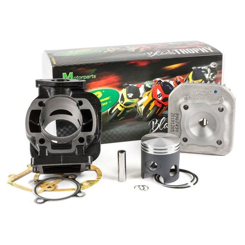 Kit gruppo termico cilindro - gruppo,