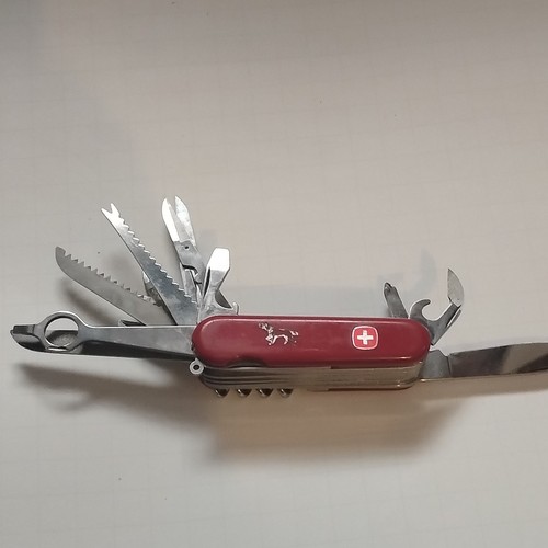 Raro coltello setter pointer - setter,