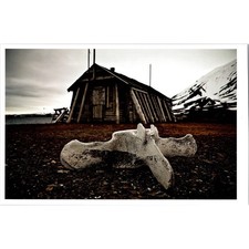 Kayak Scheletri Sisimiut
