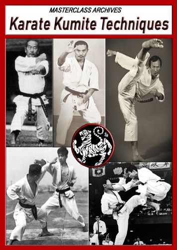 Karate kumite techniques - kumite,