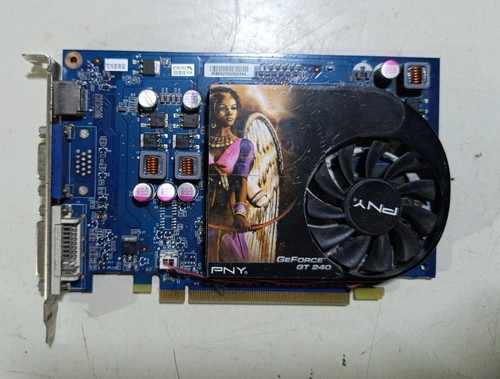 Scheda video pny geforce - pny,