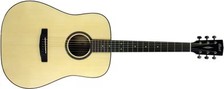 Cort Standard Series AD850