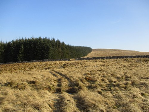 Photo 6x4 quad bike tracks - quad,