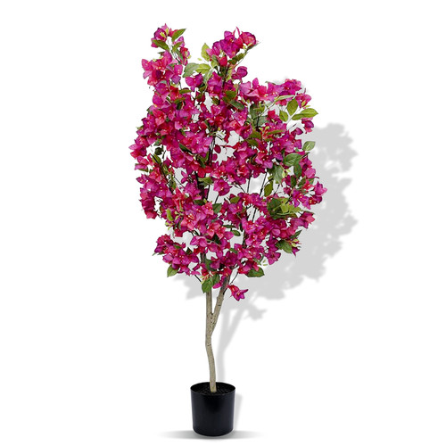 Semi fiori artificiali in - di,