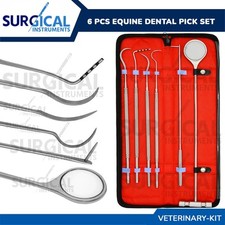 Set 6 Pezzi Sonda Pick Dentale Equino Scaler Strumenti Veterinari Tedesco Gr