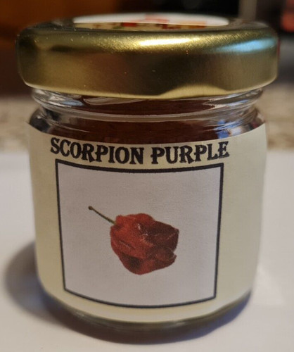 Scorpion purple polvere - scorpion,