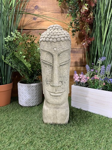 Statua testa buddha - testa, media