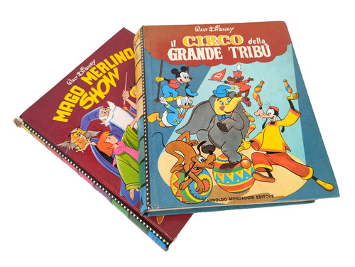 Libri disney mago merlino - 2,