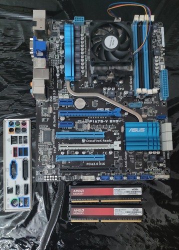 Scheda madre asus f1a75 evo - madre,