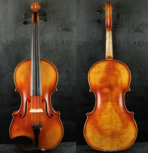 Violino leva professionale - violino,