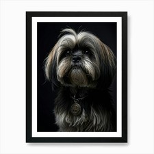 Poster Lhasa Apso cane età
