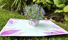 Ciotola pop-up 3D di iris