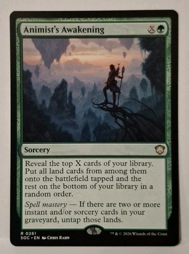 Mtg animist awakening x1 - awakening,