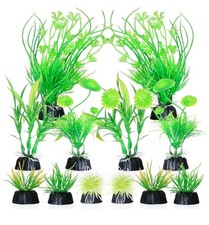 Lotto di 20 sacchetti/piante