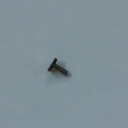 Chaussè cannon pinion - -,