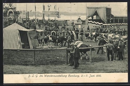 Hamburg mostra itinerante - ak,