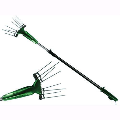 Dente denti ricambio - dente, di