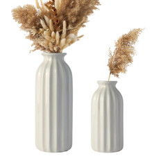 Set 2 Vasi in Ceramica Bianchi