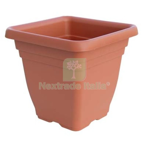 6pz vaso quadro - quadro, laurus
