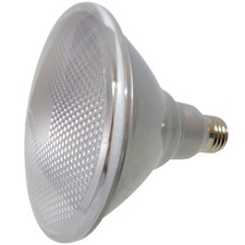 Lampadina LED PAR38 o PAR30