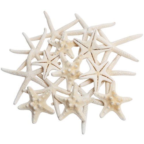 Pezzi decorazione stella - 16,