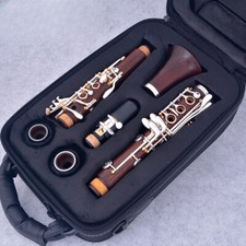 Clarinetto professionale Cocobolo C Tune 17 tasti clarinetto placcato argento in do MC69