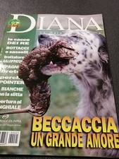 caccia diana dic 99 bottacci sasselli epagnuel pointer breton beccaccia 
