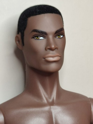 Fashion royalty darius reid - royalty,